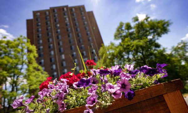 Augsburg to launch Critical Race and Ethnicity Studies department, major